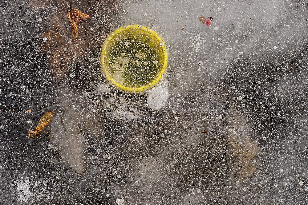 frozen ice yellow ring